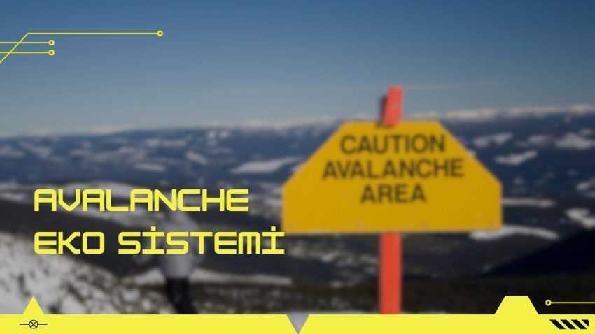 Avalanche Eko Sistemi Serüveni: Gizemli Dünyada Yolculuk 🚀