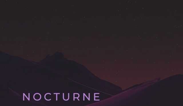Karanlıkta Parlayan Nocturne: Vitalik Buterin’in En Son Yatırımı 🌙