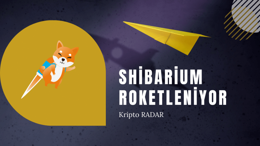 🌐 Shibarium Roketleniyor: Shiba, 100 Milyon İşlemle Ayın Ötesine Geçiyor! 🚀