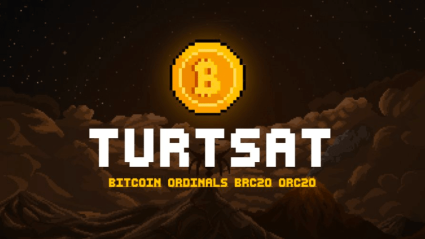 TurtSat Coin Nedir? Geleceği Hakkında Yorumlar Nelerdir?