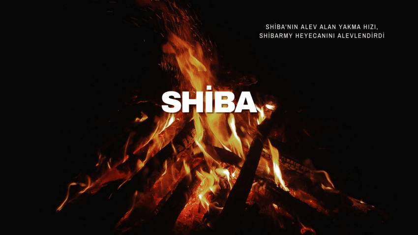 Shiba Zirveye Doğru: ShibArmy’nin Yakma Hızındaki Patlama ve Topluluk Etkileşimi