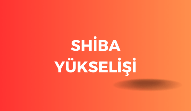 Shiba Yükselişi : Kripto Piyasasında Yıldızlaşan Bir Değer