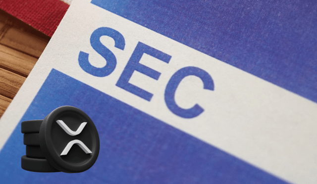 🌊 SEC Ripple Davası: CEO Brad Garlinghouse’dan Yeni Açıklamalar